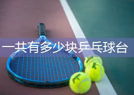 一共有多少块乒乓球台