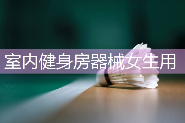 室内健身房器械女生用