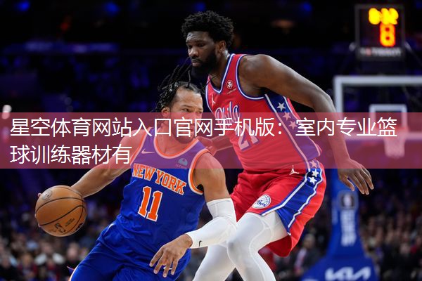 星空体育网站入口官网手机版：室内专业篮球训练器材有