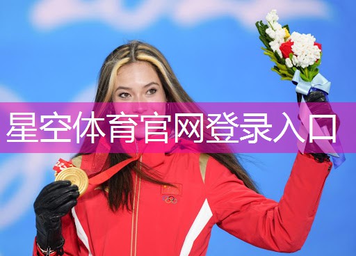 星空公司：揭秘室外儿童滑梯外观设计的背后故事！