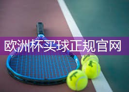 星空体育官网登录入口：拒绝室内局限！感受大自然的魅力，绿色室外体育健身器材全新亮相！