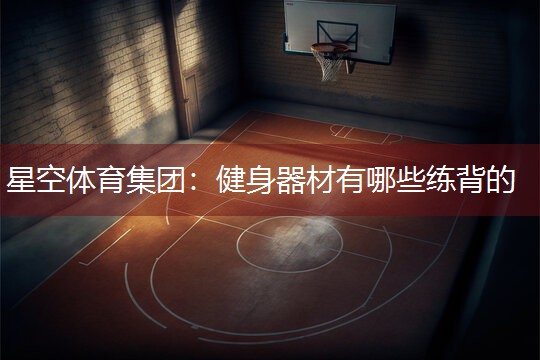 星空体育集团：健身器材有哪些练背的