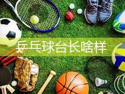 乒乓球台长啥样