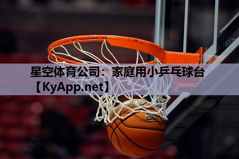 星空体育公司：家庭用小乒乓球台