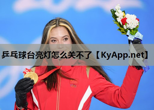 乒乓球台亮灯怎么关不了