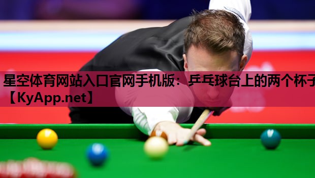 星空体育网站入口官网手机版：乒乓球台上的两个杯子
