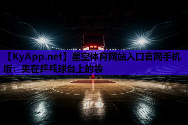 星空体育网站入口官网手机版：夹在乒乓球台上的袋