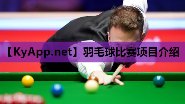 羽毛球比赛项目介绍