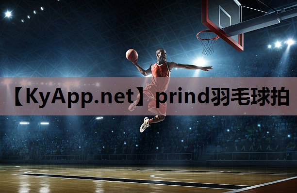 prind羽毛球拍