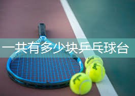 一共有多少块乒乓球台