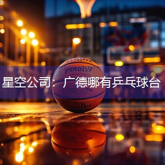 广德哪有乒乓球台