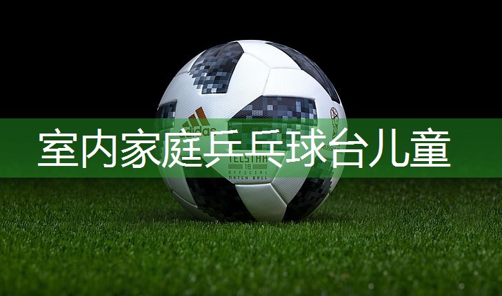 室内家庭乒乓球台儿童