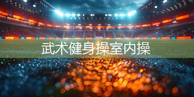 武术健身操室内操