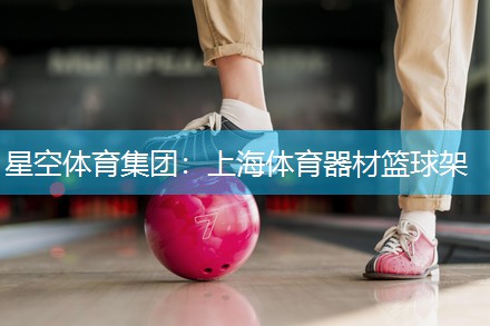 上海体育器材篮球架