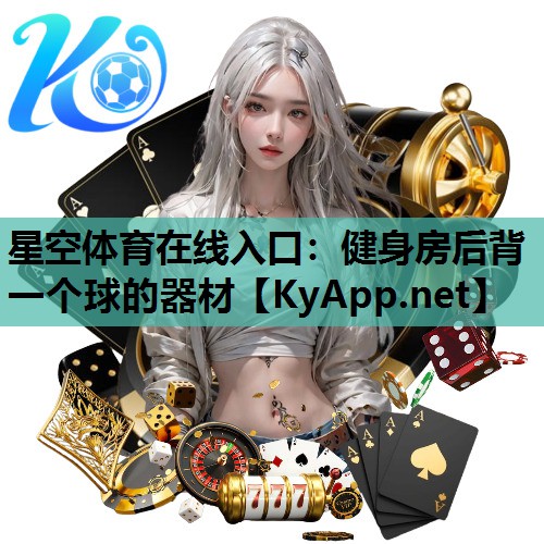 健身房后背一个球的器材