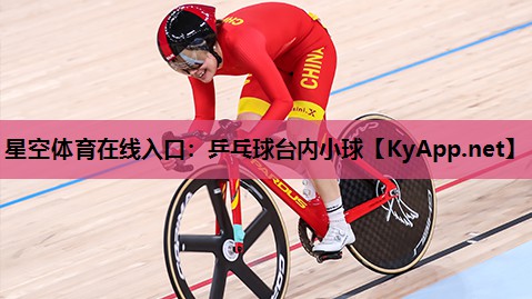 乒乓球台内小球