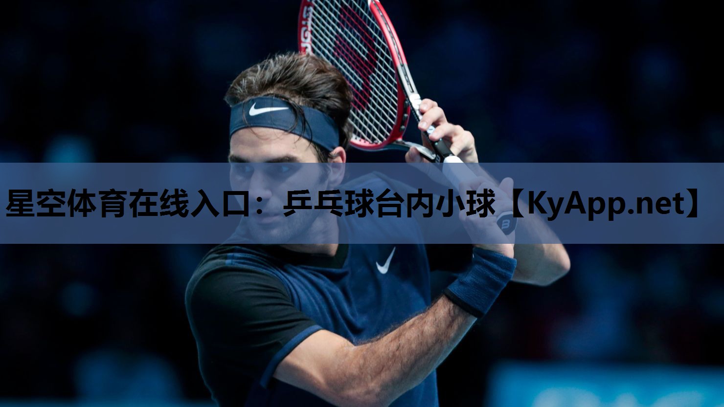 乒乓球台内小球