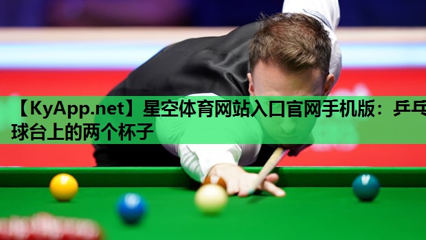 乒乓球台上的两个杯子