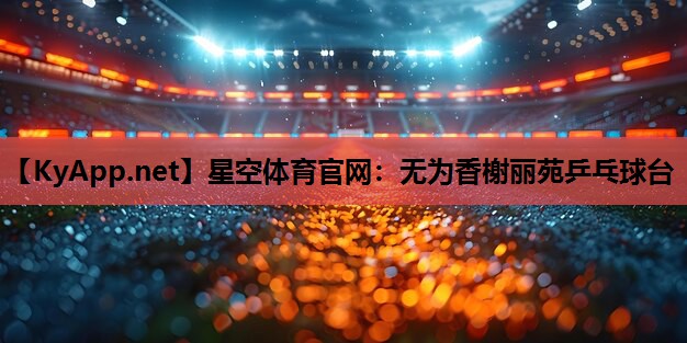 无为香榭丽苑乒乓球台