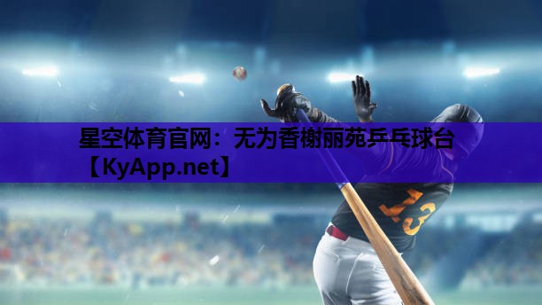 无为香榭丽苑乒乓球台