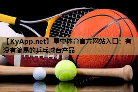 有没有简易的乒乓球台产品