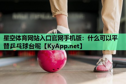 什么可以平替乒乓球台呢