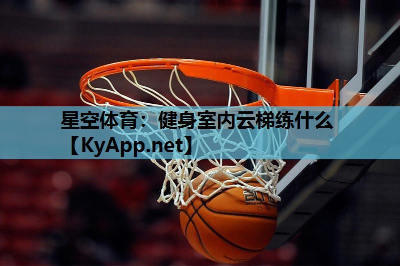健身室内云梯练什么