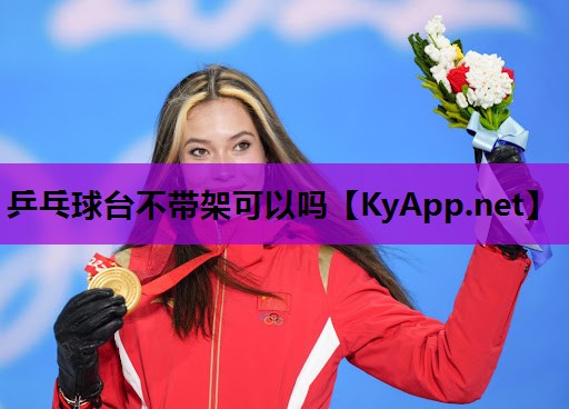 乒乓球台不带架可以吗