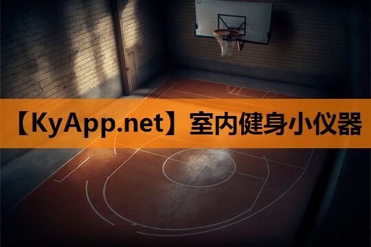 室内健身小仪器