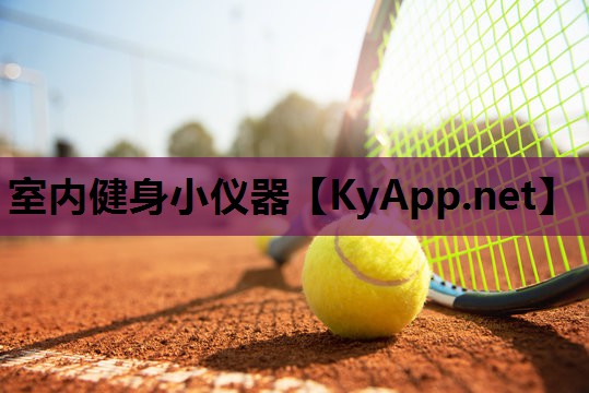 室内健身小仪器