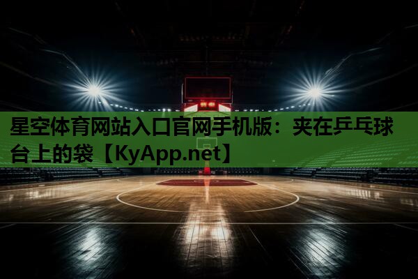 夹在乒乓球台上的袋