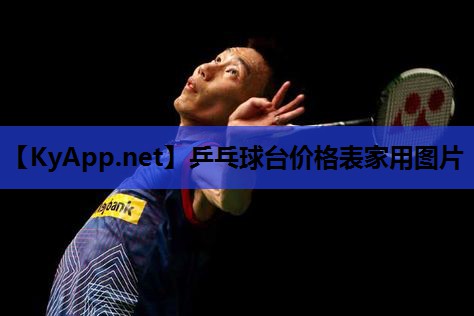 乒乓球台价格表家用图片
