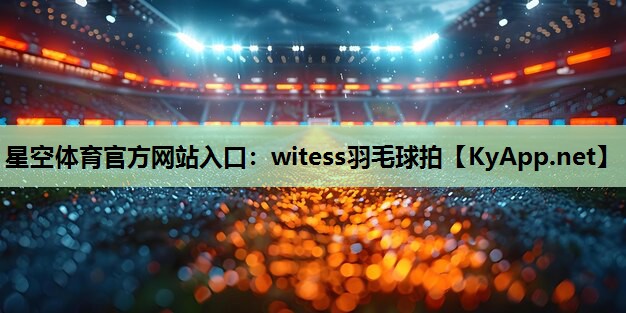 witess羽毛球拍