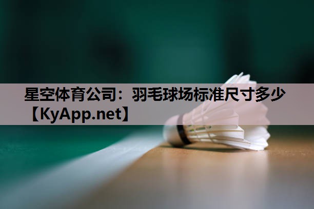 羽毛球场标准尺寸多少