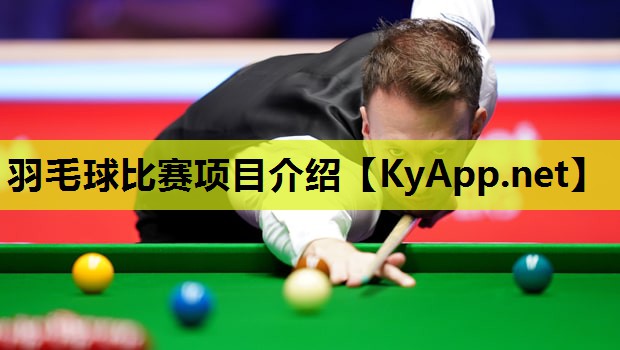 羽毛球比赛项目介绍