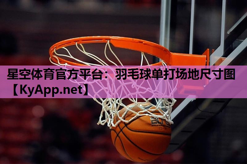 羽毛球单打场地尺寸图