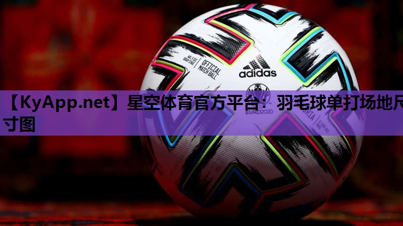 羽毛球单打场地尺寸图