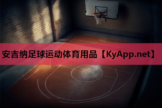 安吉纳足球运动体育用品