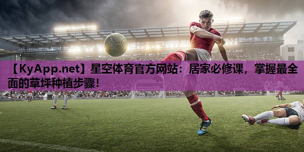 居家必修课，掌握最全面的草坪种植步骤！